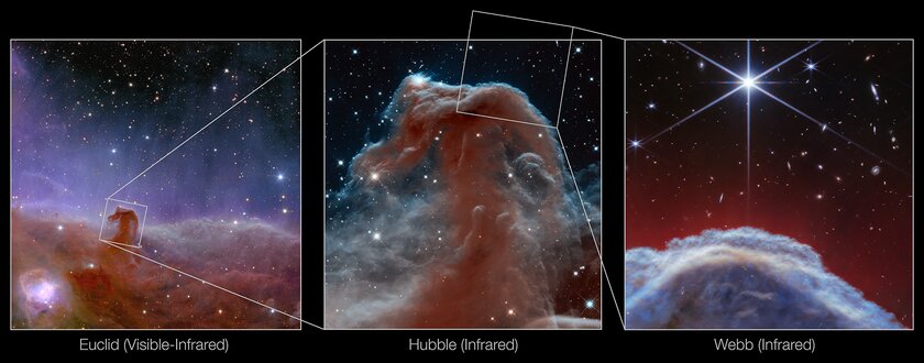 Конская голова в деталях: телескоп «Джеймс Уэбб» сделал самое чёткое фото туманности