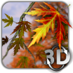 Autumn Leaves in HD Gyro 3D 1.4