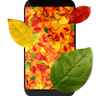 Осенние листья 3D 4.1.0.1