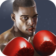 Punch Boxing 1.1.6