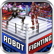 Real Robot Ring Fighting 1.0.0