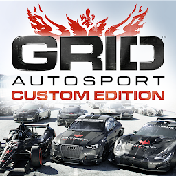 GRID Autosport: CE 1.10.1
