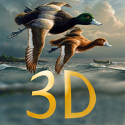 Duck hunter pro 3D 1.0