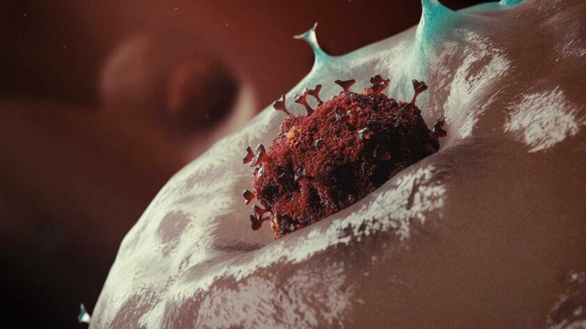 Американские учёные создали самый точный тест на коронавирус, который не ошибается