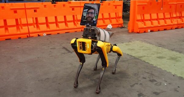В Boston Dynamics создают робота, который поможет в борьбе с COVID-19