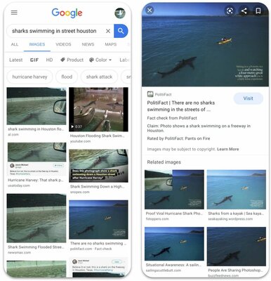 Google будет проверять достоверность фотографий в поиске