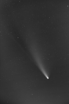 Станут отличными обоями. Лучшие фотографии одной из самых ярких комет NEOWISE