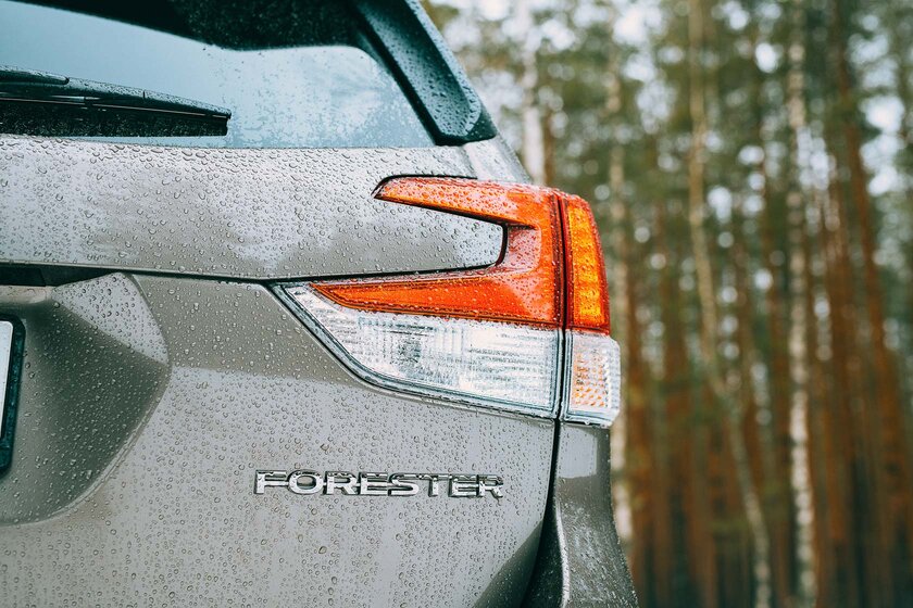 Редкость: и в лес не страшно, и по городу комфортно. Тест-драйв Subaru Forester (2022)