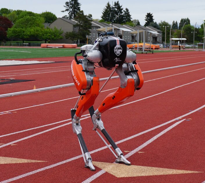 Видео: две робо-ноги поставили рекорд в 100-метровке. Туловища нет вообще