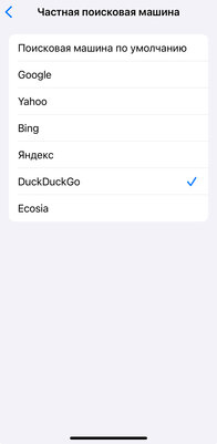 В iOS 17 можно выбрать поисковую систему для приватного просмотра