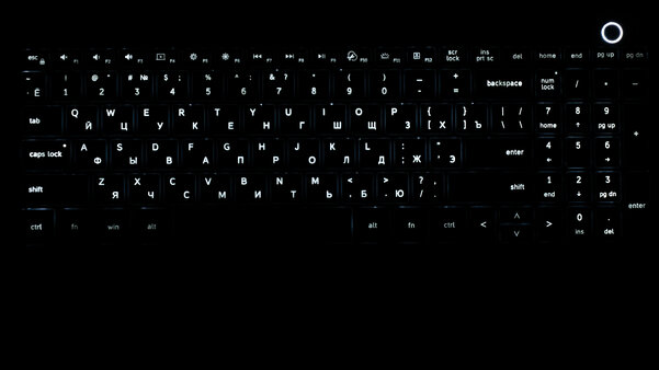 Если вы параноик, но любите хорошие ноутбуки. Обзор Digma Pro Magnus M — Клавиатура и тачпад. 1