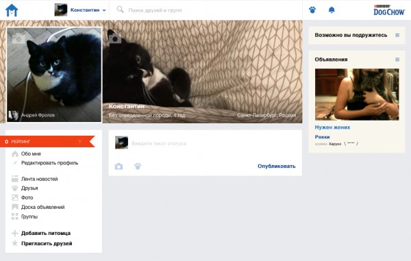 «ДружОК» — новая соцсеть для животных от создателей «Одноклассников»