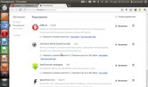Ubuntu: взгляд и обзор