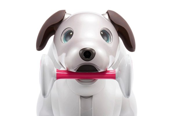 Sony представила нового робота-собаку Aibo