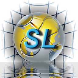 Soccer Leagues 1.1.13