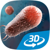 Бактерии интерактивное 3D 1.21