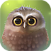 Little Owl Lite 1.4.7