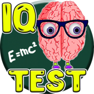 Тест на IQ 4.9