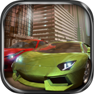 Real Driving 3D 1.6.1