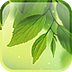 Galaxy S4 Leaf Animated 1.0.0