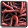 Can of Worms Live Wallpaper 1.1.0