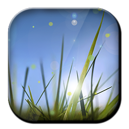 Xperia Z Cool Grass LWP 1.0