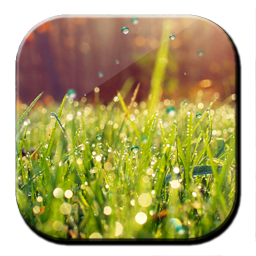 Galaxy S4 Rain n Grass LWP 1.0.1