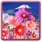 Flowers HD LWP! 2.0