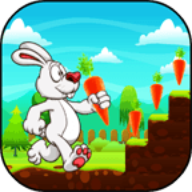 Bunny Run 3.0
