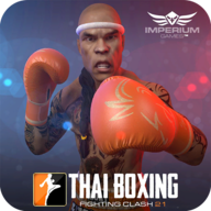 Thai Boxing 21 1.15