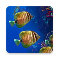 Ocean Aquarium живые обои 1.1