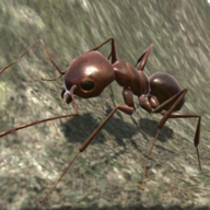 Ant Simulation 3D 2.3.4