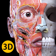 Анатомия - 3D Атлас 5.0.0