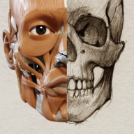Art Anatomy – 3D анатомия для художников 5.0.0