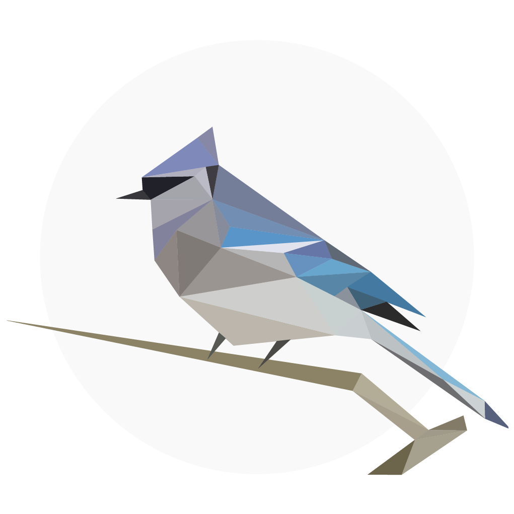 Birdnet. Birdnet API.