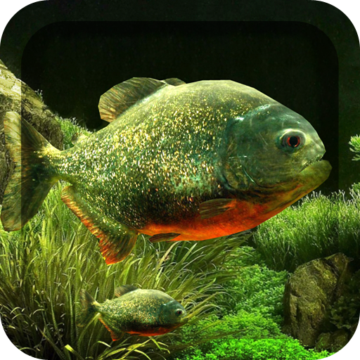 3D Fish Aquarium Wallpaper HD 1.8.5