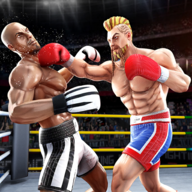 Tag Boxing Games 8.7