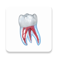 Стоматология — 3D иллюстрации 2.0.94
