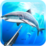 Spearfishing 3D 1.33