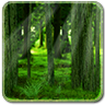RealDepth Forest 1.1.1