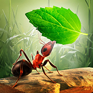 Little Ant Colony 3.4.2