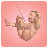 Idle 9 Months 1.37.4