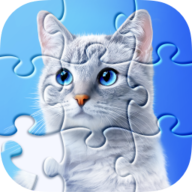 Jigsaw Puzzles 3.16.1