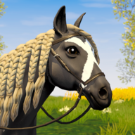 Star Equestrian 498.0