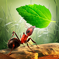 Little Ant Colony 3.4.4