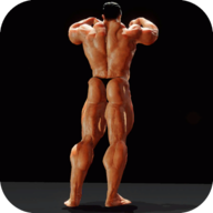 Iron Muscle – бодибилдинг 1.30