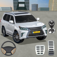 Prado Car Parking Site 3d 2.0.165