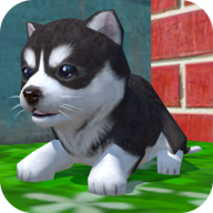 Cute Pocket Puppy 3D 1.23.3