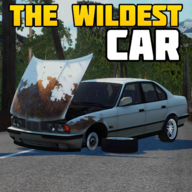 The Wildest Car 0.0.6