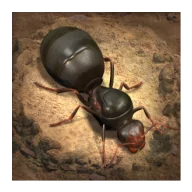 The Ants: Underground Kingdom 3.71.0